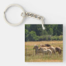 Suche nach hübsches pferd schlüsselanhänger Tiere