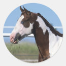 Suche nach paint horse aufkleber Reiter