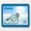 Recherche de arctique tapis souris Animaux