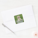 Suche nach waschbecken aufkleber Hund