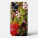 Recherche de hawaï coques Flore