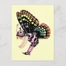 Recherche de fée rose cartes postales Pixie