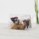 Recherche de chèvre noël cartes Neige