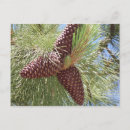 Recherche de pin cartes postales Nature