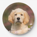 Suche nach hundeliebhaber teller Welpe