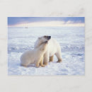 Suche nach packeis postkarten Alaska