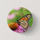 Suche nach monarch buttons Blume