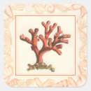 Suche nach korallenriff aufkleber Meer