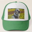 Suche nach labrador kappen Tiere