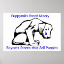 Recherche de refuges posters Chiens