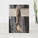 Suche nach hang in there karten Tiere