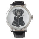 Recherche de le labrador montres Chien