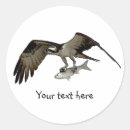 Suche nach raubvogel aufkleber Vogelkunst