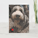 Suche nach beardie karten Collie