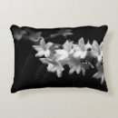 Recherche de jasmin coussins Nature