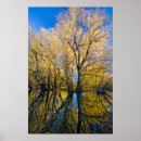 Suche nach utah herbst poster Amerikanische