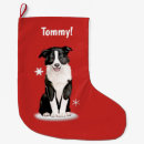 Recherche de border collie chaussette de noël Frontière