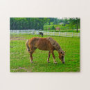 Recherche de le cheval puzzles Nature
