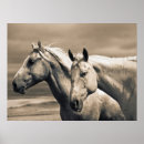 Suche nach quarter horse poster Bauernhof