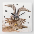 Recherche de ornithologique horloges Nature