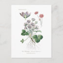 Suche nach anemonen postkarten Floral