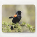 Recherche de ailes tapis souris Vert
