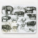 Suche nach zoologie mousepads Englisch