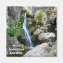 Suche nach malibu magnete California