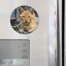 Recherche de grande oreille magnets Chaton