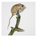 Suche nach realistische poster Natur