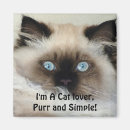 Recherche de birmans magnets Chats
