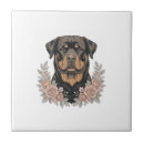 Suche nach rottweiler fliesen Weimaraner