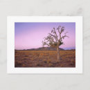 Recherche de fantomatique cartes postales Toute personne