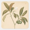 Recherche de motif décoratif autocollants Tissus