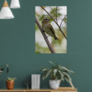 Suche nach rote vögel poster Grün