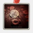 Suche nach zelle ornamente Horizontal