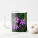 Recherche de magenta photographie Fleur sauvage