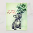 Recherche de french christmas cartes postales Animal