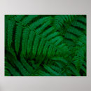 Recherche de tropical feuillage posters Vert