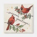 Recherche de lovebirds magnete Oiseaux