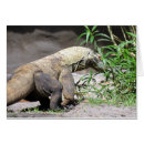 Suche nach komodo drache Natur