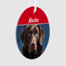 Suche nach schokoladen labrador ornamente Für haustiere