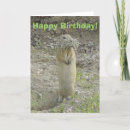 Suche nach grundeichhörnchen Gopher