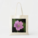 Recherche de géranium sacs Violet