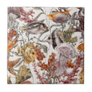 Recherche de méduses carreaux Plage