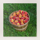 Suche nach pfirsich puzzle Obst