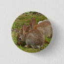 Recherche de jumeaux badges Animaux