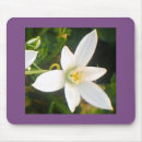 Suche nach weiße blüten mousepads Rosa