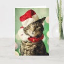Recherche de chats habillés noël cartes Image de couleur