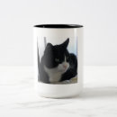 Recherche de smoking tasses Chat